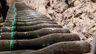 Illustration for article titled Champagne J Lassalle: Long-Lived Pioneers On The American Market